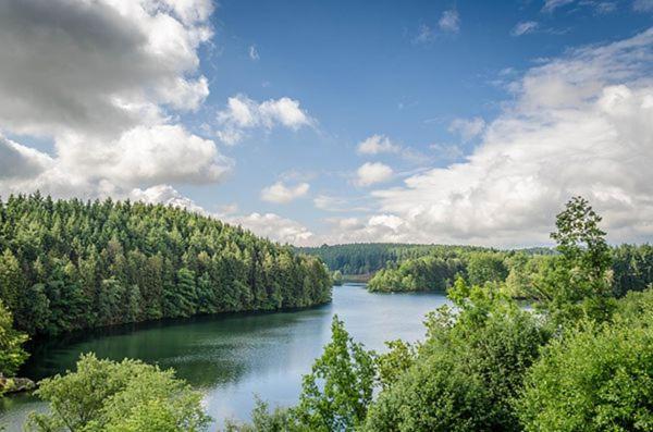 Villa Le Noir Flohay 30 Pers - Malmedy, Vue, Wellness Esterno foto