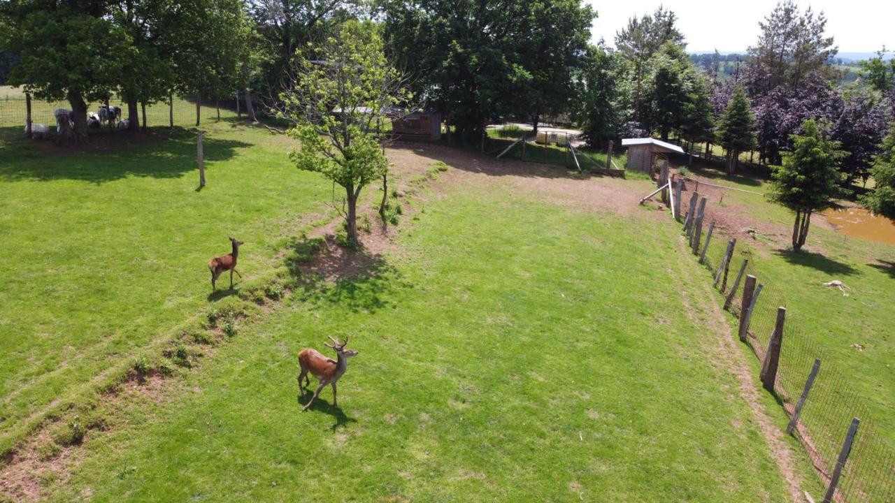 Villa Le Noir Flohay 30 Pers - Malmedy, Vue, Wellness Esterno foto
